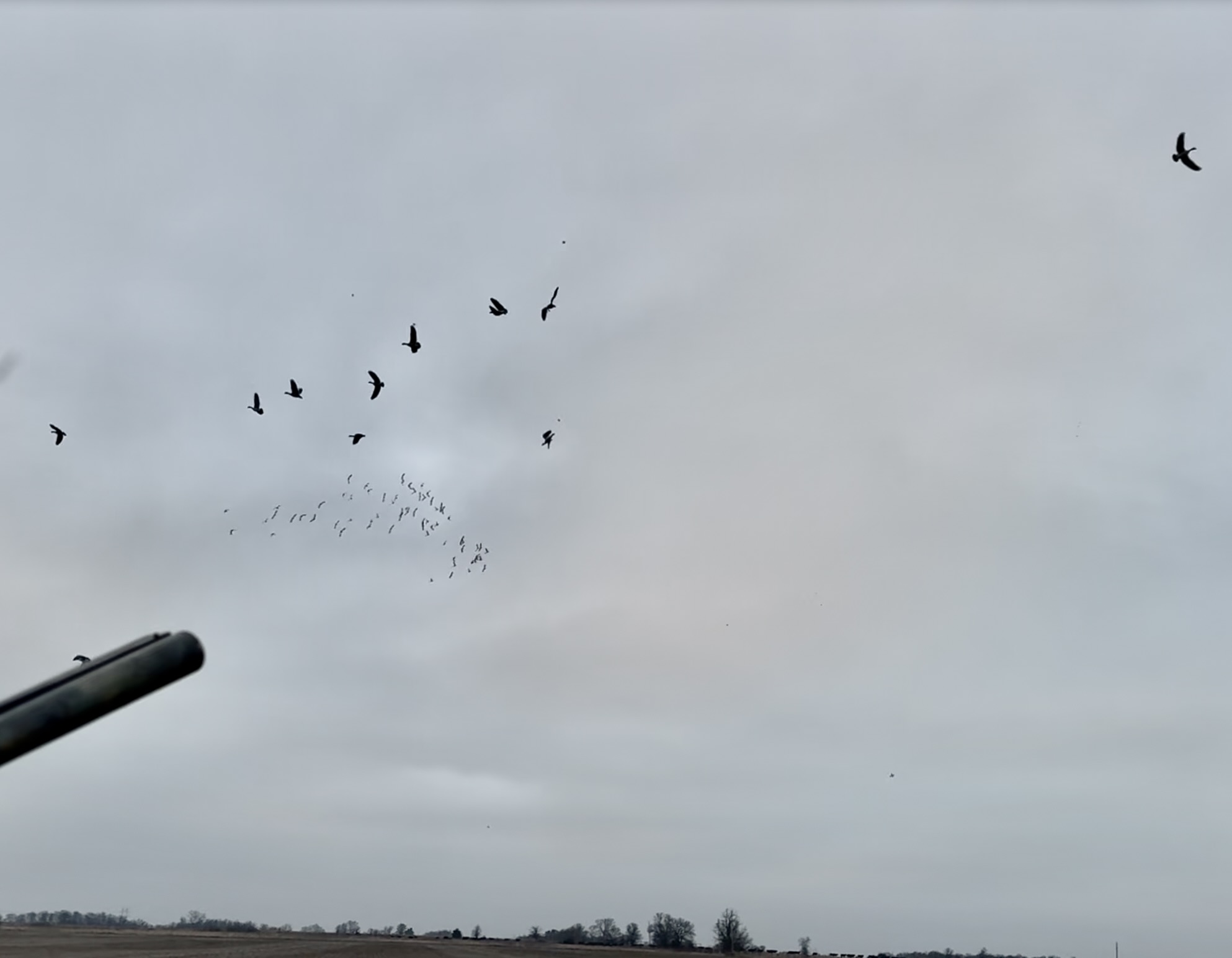 Kansas Waterfowl and Upland Hunt - Corporate & Groups